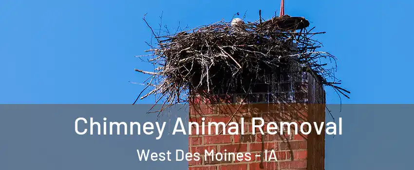 Chimney Animal Removal West Des Moines - IA