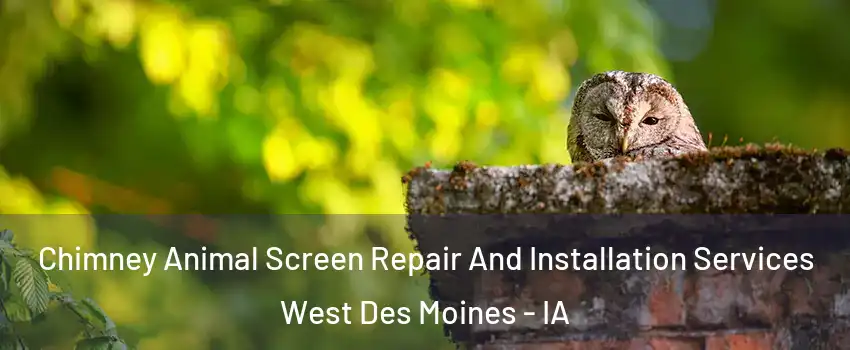  Chimney Animal Screen Repair And Installation Services West Des Moines - IA