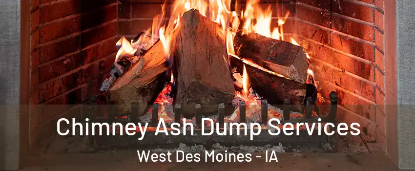  Chimney Ash Dump Services West Des Moines - IA