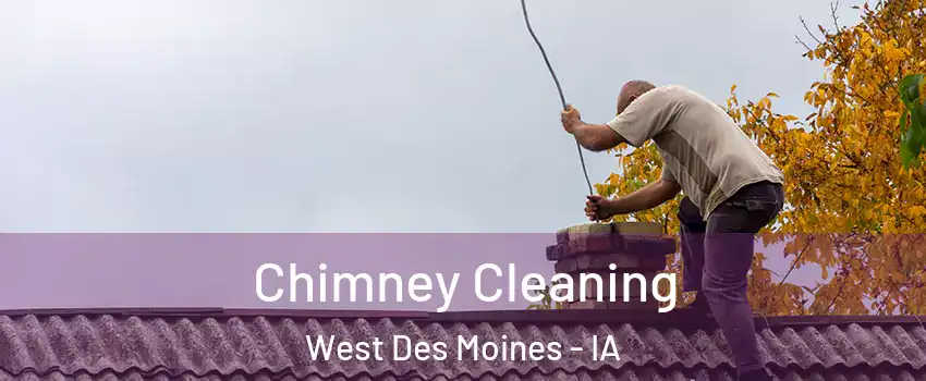  Chimney Cleaning West Des Moines - IA
