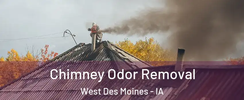  Chimney Odor Removal West Des Moines - IA