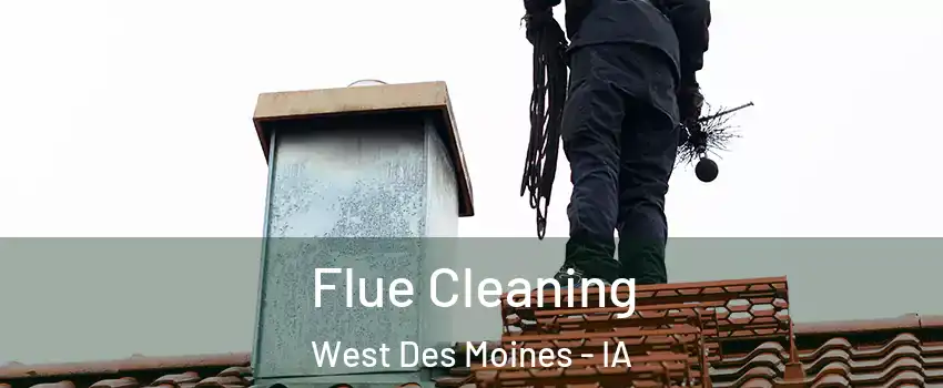  Flue Cleaning West Des Moines - IA