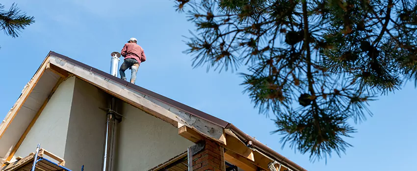 Birds Removal Contractors from Chimney in West Des Moines, IA